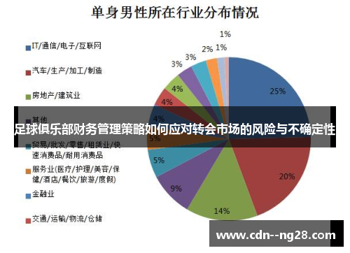 足球俱乐部财务管理策略如何应对转会市场的风险与不确定性