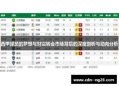 西甲球员的梦想与财富转会市场背后的深度剖析与动向分析