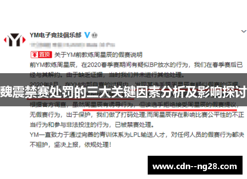 魏震禁赛处罚的三大关键因素分析及影响探讨