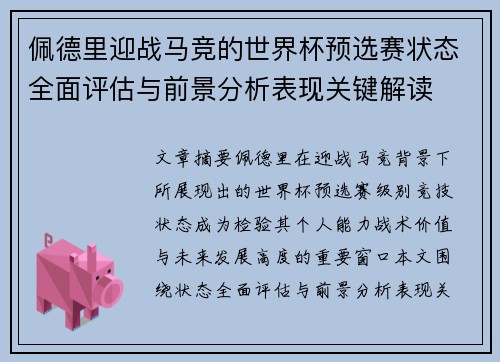 佩德里迎战马竞的世界杯预选赛状态全面评估与前景分析表现关键解读